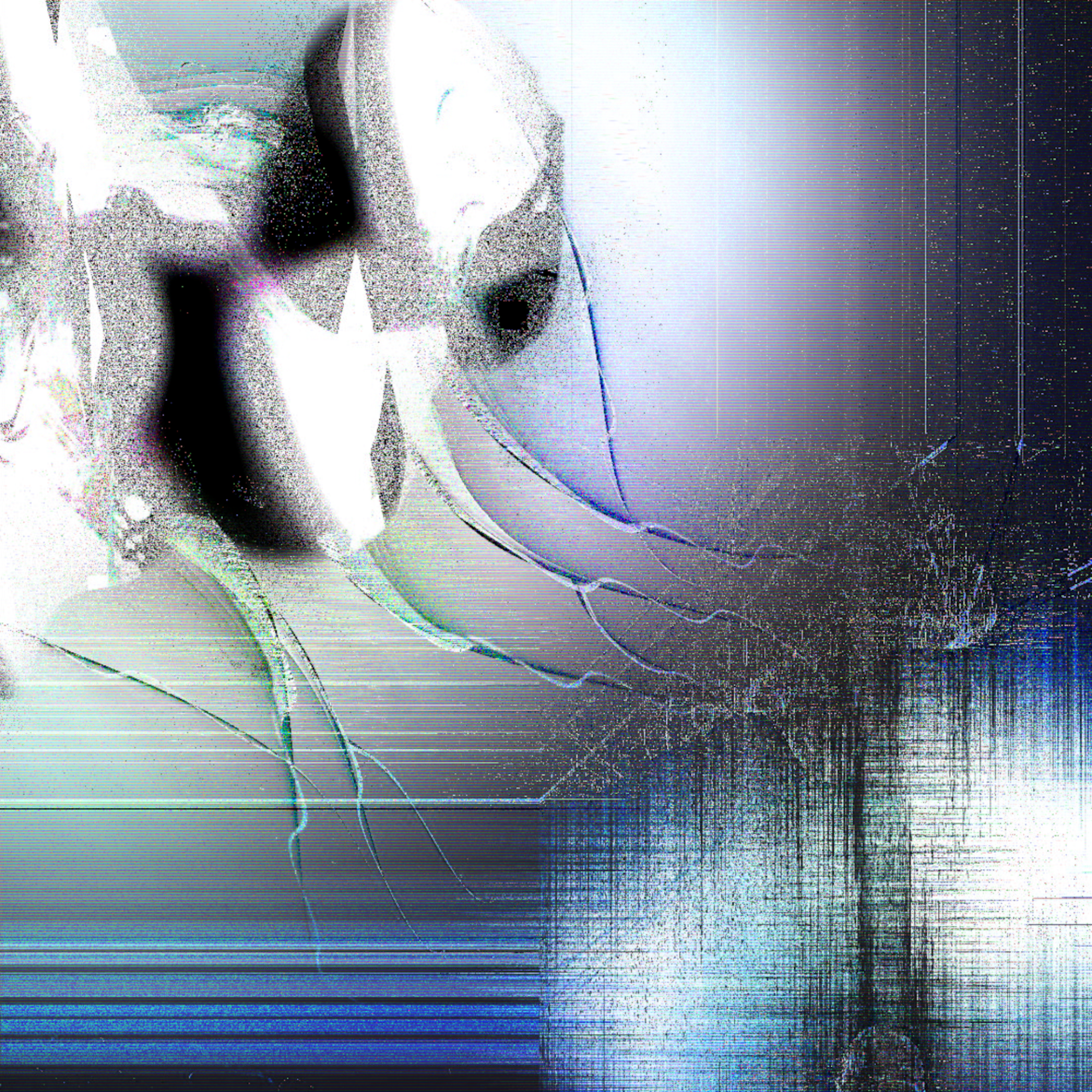 awake to the digital era Album cover